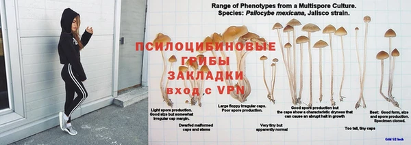 ешки Алексеевка