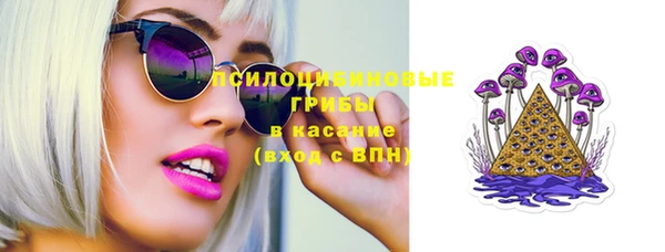 сатива Алзамай