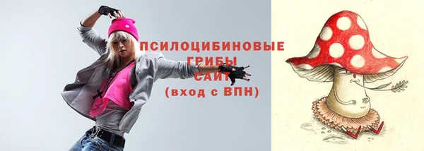ешки Алексеевка