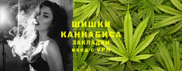 сатива Алзамай