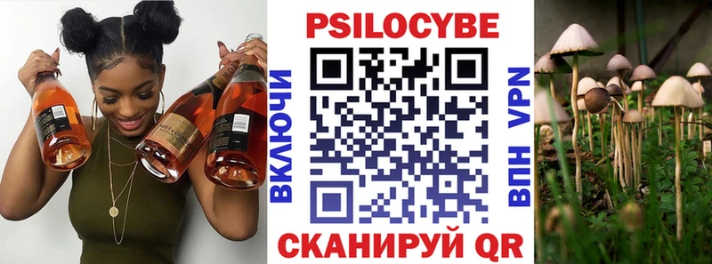 где можно купить наркотик  Лукоянов  Галлюциногенные грибы Psilocybine cubensis 